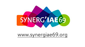 Logo de synerg'iae 69